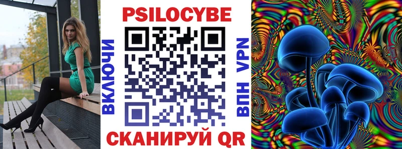 Купить закладки  Гвардейск  Псилоцибиновые грибы Psilocybine cubensis 